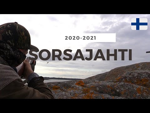SORSANMETSÄSTYS / DUCK HUNTING 2020-2021