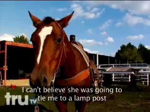 Principal's Office - Student Rides Horse to School
