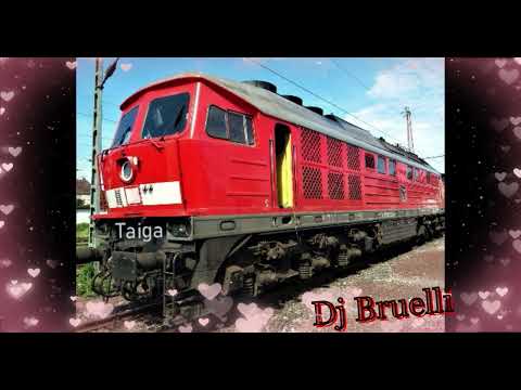 Dj Bruelli & Die Party People - Der Taiga Song  (Layla Parodie)