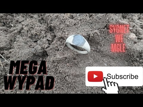 #115 Poszukiwania detektorem . Sygnet we mgle . MEGA WYPAD 🦾🦾