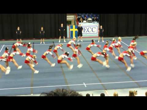 Dynamite Dolphins DM 2011