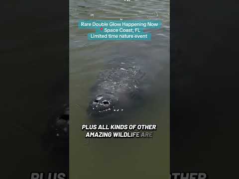 If you're in Florida right now... don't miss this! Link in Bio (and comments) More BK Adventure