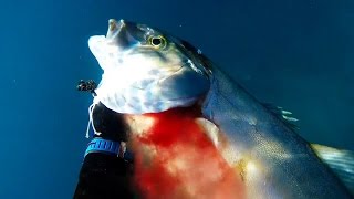 Rob Allen 110 back in business