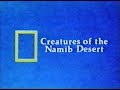 National Geographic Creatures Of The Namib Desert 1978