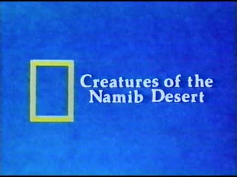 National Geographic: Creatures of the Namib Desert (1978)