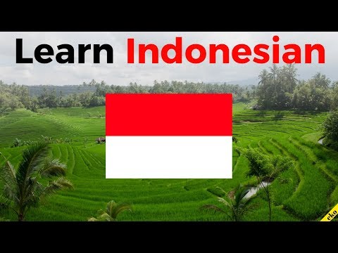 Learn Indonesian While You Sleep 😀  Most Important Indonesian Phrases and Words 😀 English/Indonesian