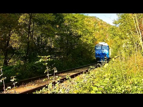 Trenuri / Trains in Crișul Repede's Canyon - Bihor County [Vol.22] (11 10 2014) - Autumn Edition
