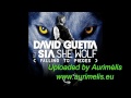 David Guetta feat. Sia - She Wolf (Falling To ...