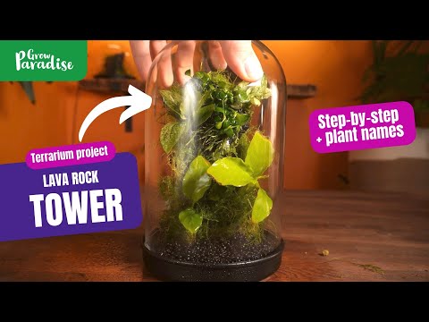 How to build a lava rock tower terrarium | Step-by-step project + plant names