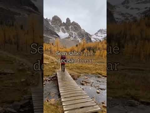 Vídeo: Mensagens TikTok: perguntas e respostas