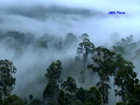 Aiso Suai Kotumbayaan Ya, Hain Jasli 1996