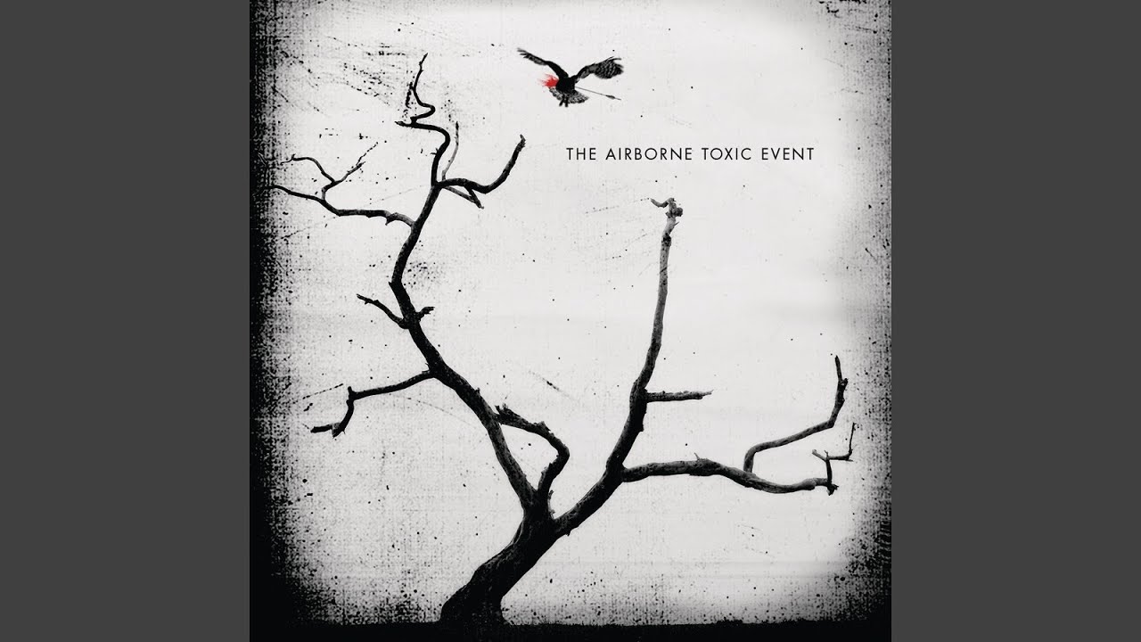 The Airborne Toxic Event - Missy