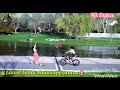 Dil Keh Raha Hai WhatsApp Status
