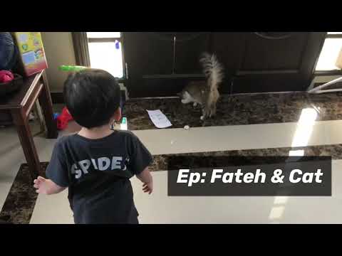 Ep: Fateh & Cat