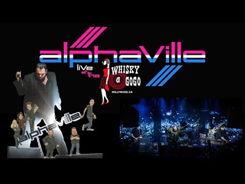 WHISKY A GO GO ALPHAVILLE PROMO LIVE