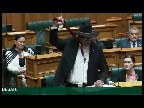 Rawiri Waititi Address in Reply Debate on the obligation to wear a tie
