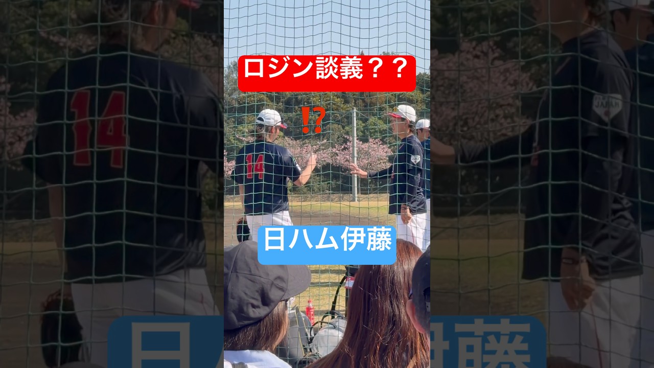 【現地観戦】日ハム伊藤のロジン談義が興味深すぎた#伊藤大海 #wbc #samurai #日本ハム