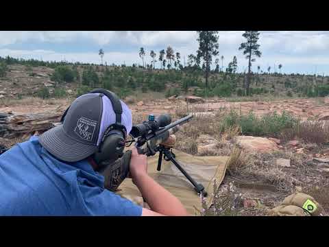 Botw Long Range Muzzleloader