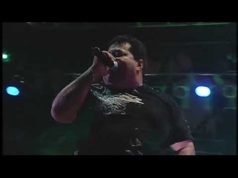 Tudo Deu em Nada - Gatinha Manhosa #TúneldoTempo