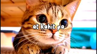 Kahit Pa - Hale (Lyrics)