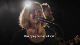 Podzimní motýli - prosinec 2025