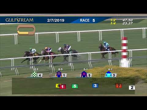 Gulfstream Park February 7, 2019 Race 5