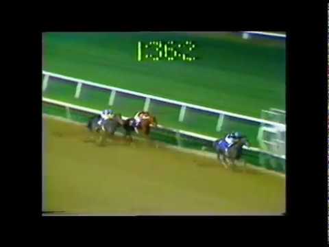 1979 Meadowlands Cup - Spectacular Bid