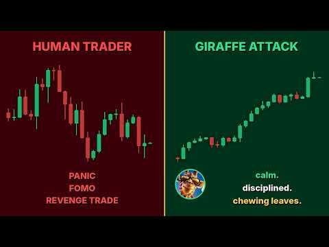 Video Giraffe Attack