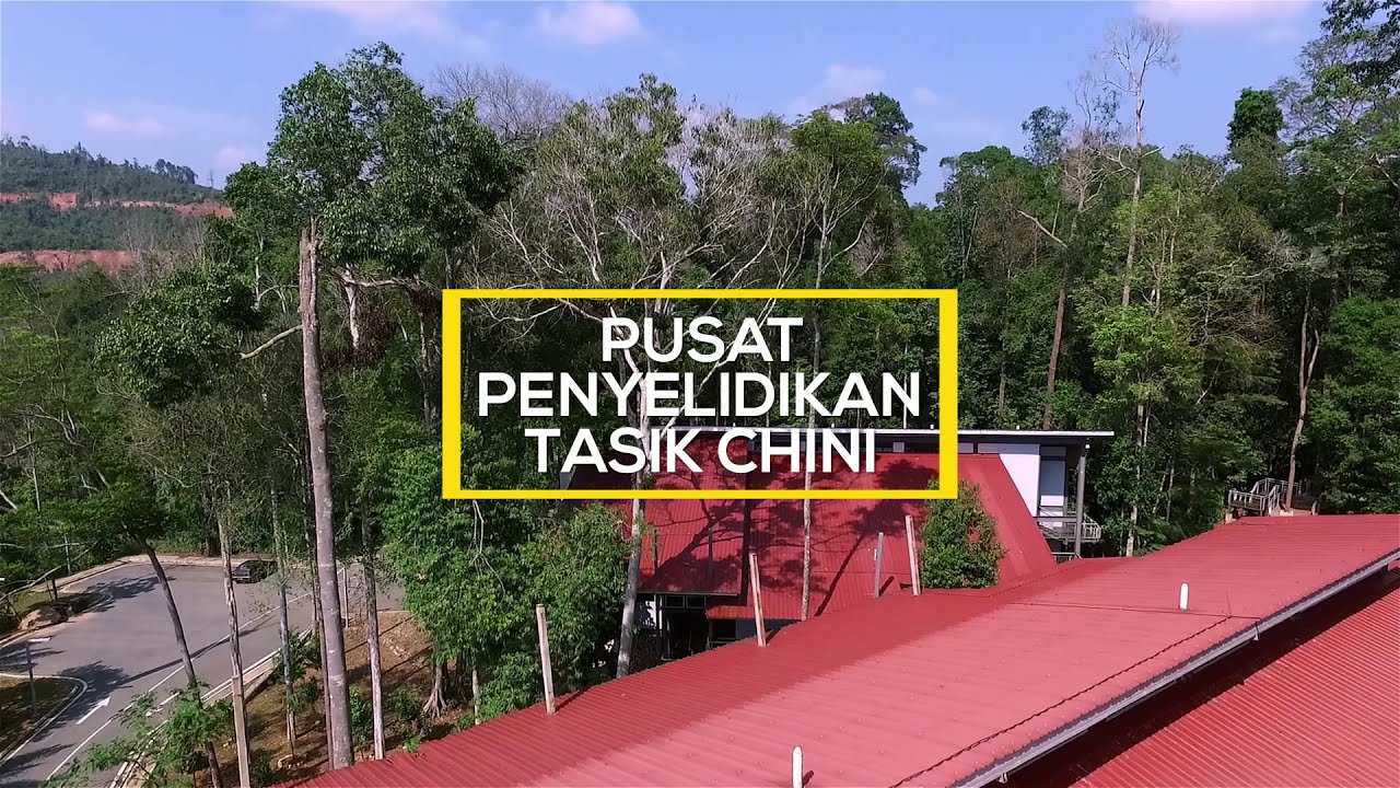 Video Montaj Pengenalan Pusat Penyelidikan Tasik Chini UKM