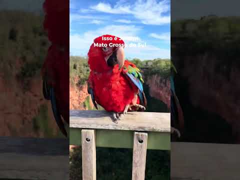 Jardim - Mato Grosso do Sul