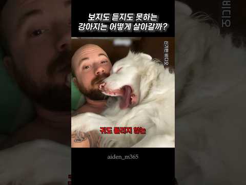 보지도 듣지도 못하는 강아지는 어떻게 살아갈까?