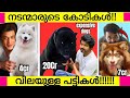 OMG! Celebraties most expensive dogs! | Most Expensive Dogs of Popular Actors | Mohanlal, vijay, Etc