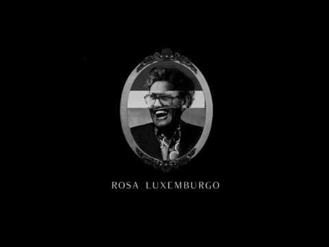 Rosa Luxemburgo