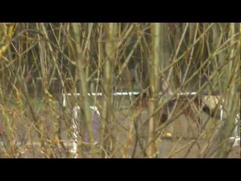 oviedo-kolesa  cross 1.4.2012