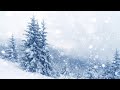 Brrrr It S Cold Let S Stay Inside And Listen To The Storm Sounds Blizzard White Noise For Sleep
