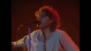 Boomtown Rats - Charmed Lives (1982) (Live 1983)