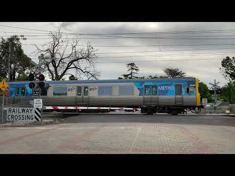 Upfield Bound Comeng at Fawkner Cementy Entrance Railway Crossing