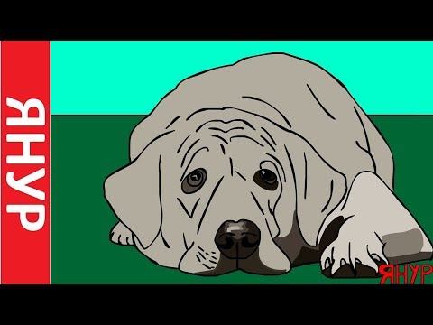 ЯНУР - Грустный пёсель