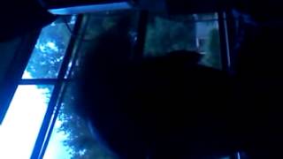 Daddy can i cum home by letoya luckett