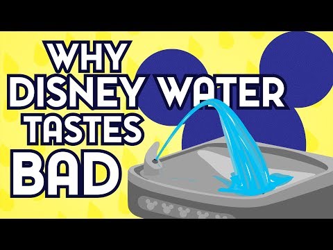Here's Why The Water Tastes So Bad At Disney World