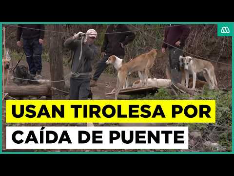 Aislados en San Fernando: Cruzan río en precaria tirolesa tras caída de puente