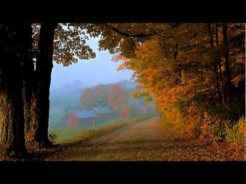 Fausto Papetti -- Yo te amo, yo tampoco