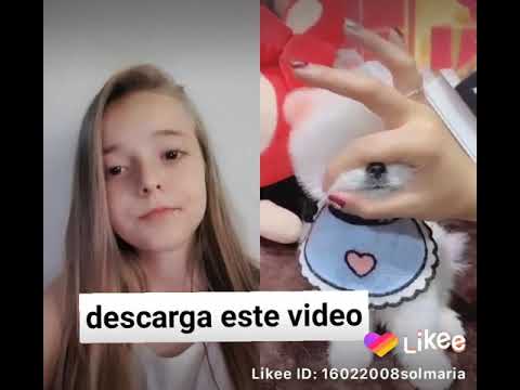 maltrato ponlo en reversa