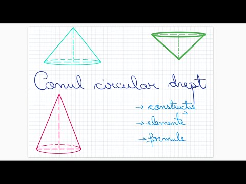 Conul circular drept - Clasa a VIII-a