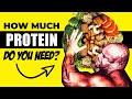How Much Protein Do You Need to Build Muscle?