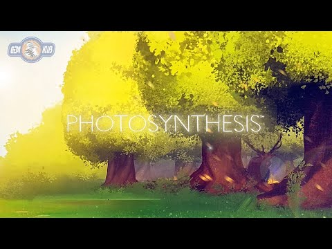 Photosynthesis társasjáték - Gémklub