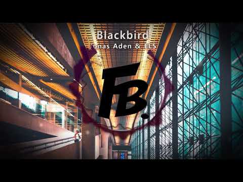 Jonas Aden & ELS - Blackbird