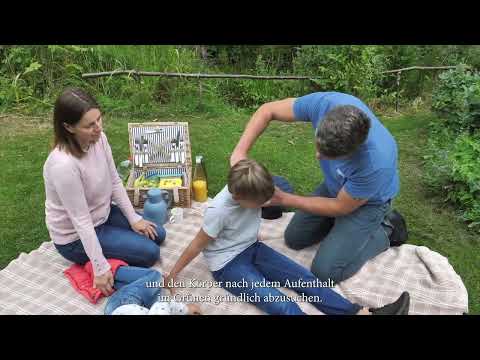 Ein Zeckenstich wirft Thorsten Hundertmark aus der Bahn