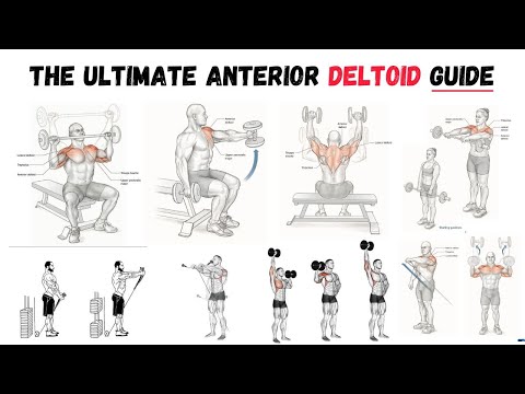 alternating deltoid raise