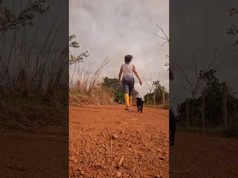 Caminhada sertaneja Comunidade Santa Rita município Vianópolis Goiás Brasil